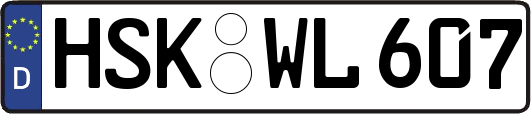 HSK-WL607