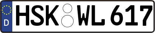 HSK-WL617