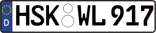 HSK-WL917