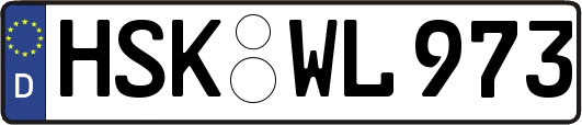 HSK-WL973