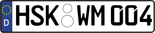 HSK-WM004