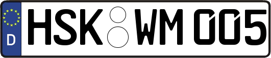 HSK-WM005