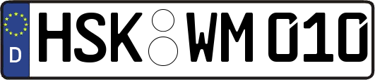 HSK-WM010