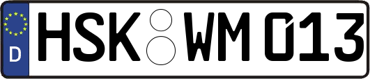 HSK-WM013