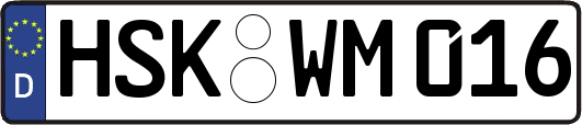 HSK-WM016