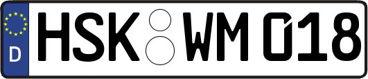HSK-WM018