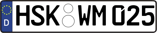 HSK-WM025