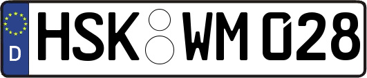 HSK-WM028