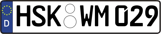 HSK-WM029