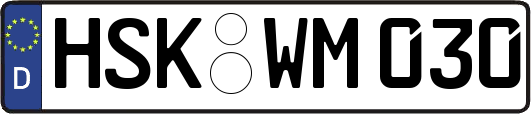 HSK-WM030