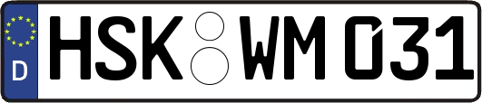 HSK-WM031