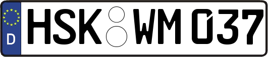 HSK-WM037