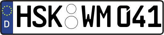 HSK-WM041