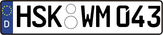 HSK-WM043