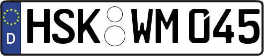 HSK-WM045