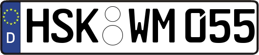 HSK-WM055