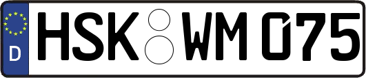 HSK-WM075