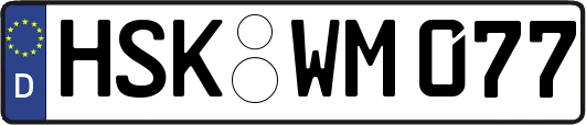 HSK-WM077