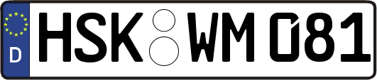 HSK-WM081