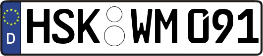 HSK-WM091