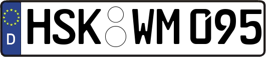 HSK-WM095