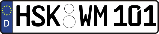 HSK-WM101