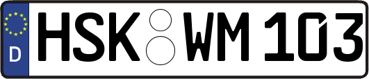 HSK-WM103