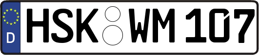 HSK-WM107