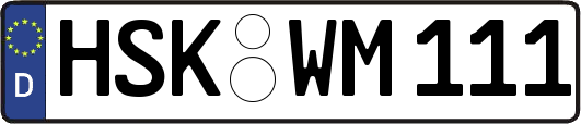HSK-WM111