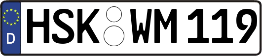 HSK-WM119