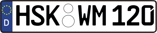 HSK-WM120