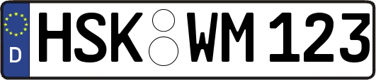 HSK-WM123