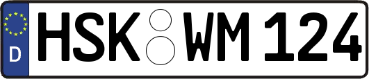 HSK-WM124