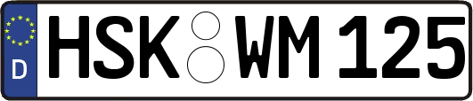 HSK-WM125