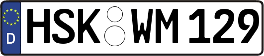HSK-WM129