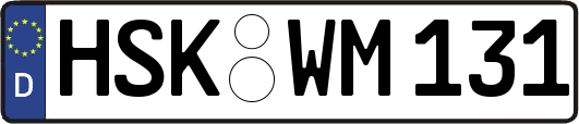 HSK-WM131
