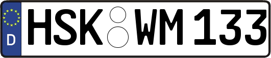 HSK-WM133