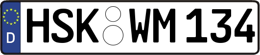 HSK-WM134