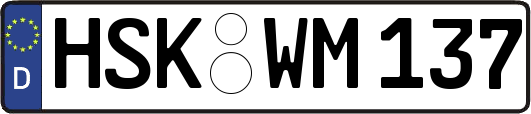 HSK-WM137