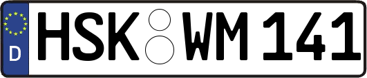 HSK-WM141