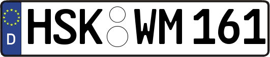 HSK-WM161