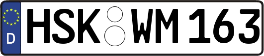 HSK-WM163