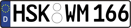 HSK-WM166