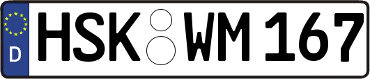 HSK-WM167