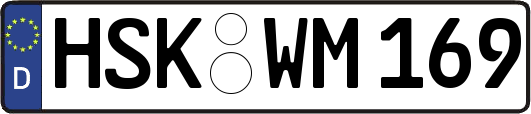 HSK-WM169