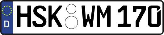 HSK-WM170