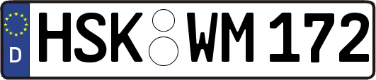 HSK-WM172
