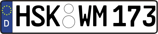 HSK-WM173