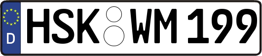 HSK-WM199