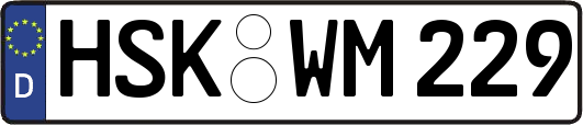 HSK-WM229